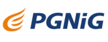 pgnig